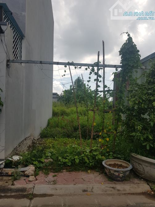 Bán lô đất đấu giá 244 Đồng Tâm, Đồng Hòa - 2