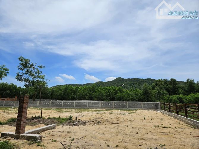 BÁN ĐẤT XÃ PHƯỚC HẢI - TP HỒ CHÍ MINH; VIEW NÚI MINH ĐẠM - CÁCH BIỂN 4KM  📐3 LÔ LIÊN KỀ - 2