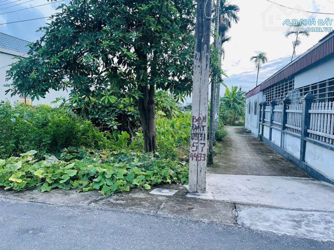 150,7m2 lô góc Cốc Liễn, Minh Tân, Kiến Thụy gần Ga Minh Tân - 2