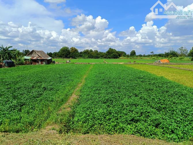 🌊 BÁN ĐẤT GIÁ RẺ MẶT TIỀN SÔNG CẦU SÁNG – HÓC MÔN – 3.760M² CHỈ 13,5 TỶ 🌟 - 2