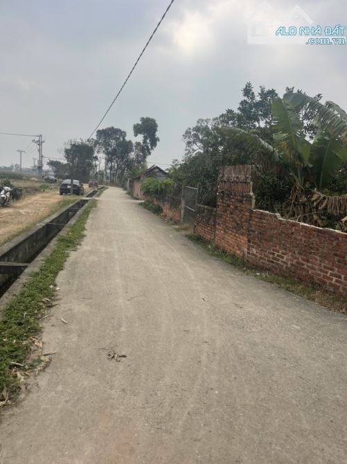 🔥 MỞ BÁN 9 LÔ F0 BÌA LÀNG NAM CƯƠNG, HIỀN NINH (XÃ NỘI BÀI), TP HÀ NỘI. - 2