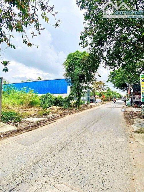 Bán đất 361 m2 mặt tiền đường Lê Hồng Nhi - 2