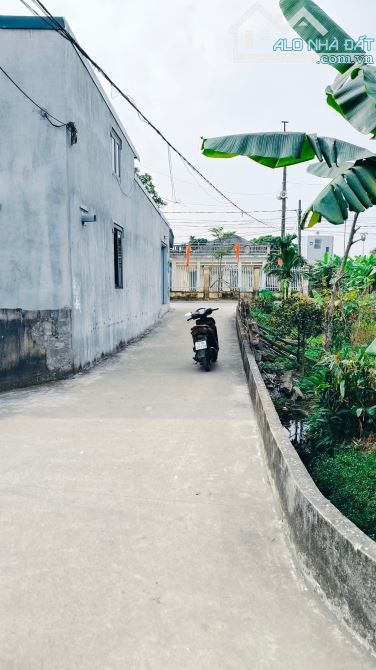 🏡 SIÊU PHẨM LÔ  ĐẤT – ĐẶNG CƯƠNG, AN DƯƠNG, HẢI PHÒNG  🏡  GIÁ CHỈ 1,1 tỷ 🌟 - 2