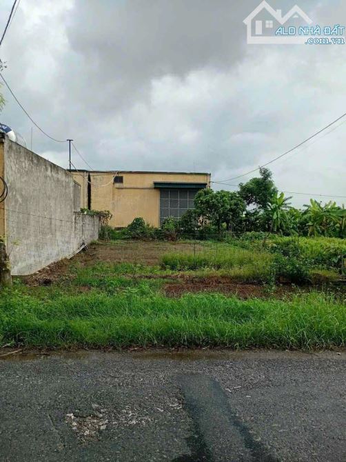 ĐẤT TP HƯNG YÊN THÁI BÌNH CŨ DT 200m MẶT ĐƯỜNG KINH DOANH  CÁCH CẦU KÌM 500m GIÁ NHỈNH 2T - 2