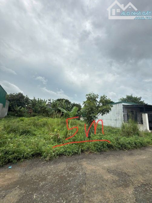 💎Lô Tc 5x23m hẻm cấp 2 Phan Huy Chú khối 4 Phường Khánh Xuân nay p Thành Nhất - 2