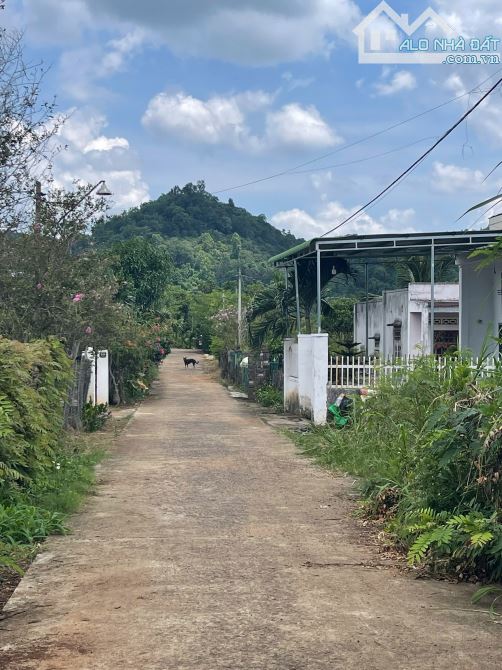 LÔ THỔ CƯ CÁCH NGÃ 6 BMT 8Km GIÁ CHỈ 668 TRIỆU - 2