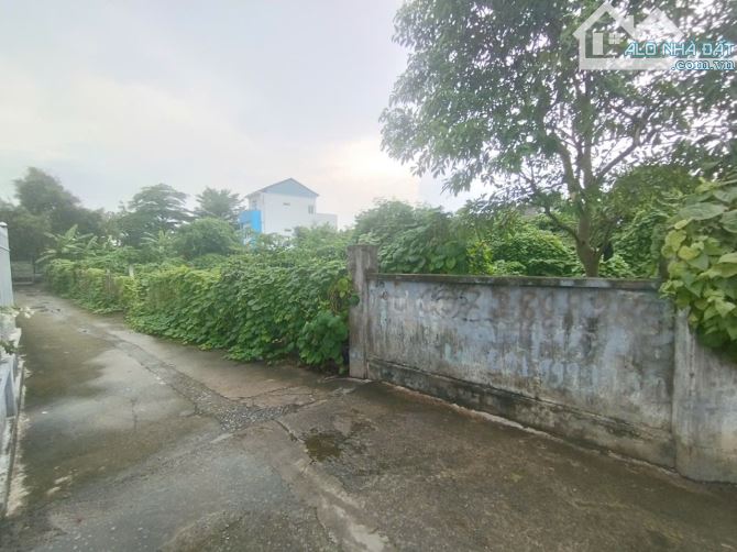 Cho thuê 15 triệu/tháng hoặc bán 70 tỷ đất ven sông phường Bửu Long vị trí đẹp - 2