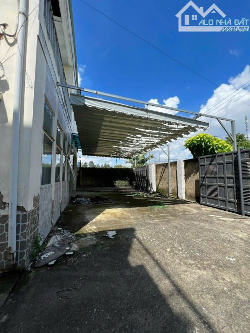 HÓC MÔN, BÁN XƯỞNG KHO SONG HÀNH, DT 18x50 898m2 THỔ CƯ - 2