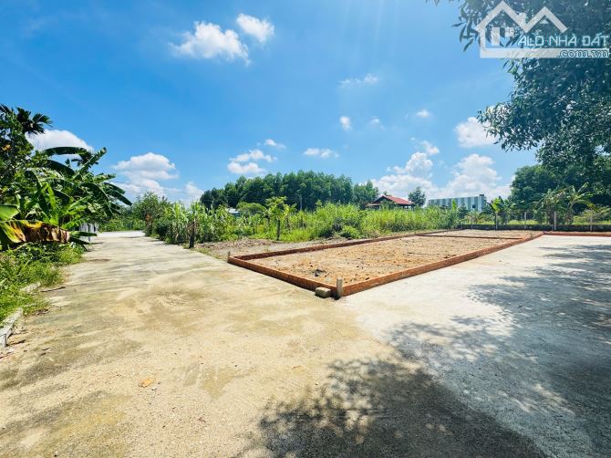 Cặp lô liền kề DT 260 m² (ngang 20 m) – Lý tưởng làm nhà vườn & nghỉ dưỡng - 2