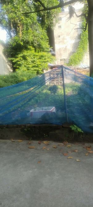 BÁN ĐẤT NGỌC LỊCH - NHƯ QUỲNH  - HƯNG YÊN - 64M - Ô TÔ - NGÕ THÔNG - GIÁ ĐẦU TƯ - 2