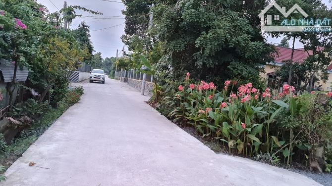 Bán đất  đường đá xanh 5x50m (250m2), Xã Hòa Khánh Đông, Đức Hòa, Long An.Giá 800 triệu - 2