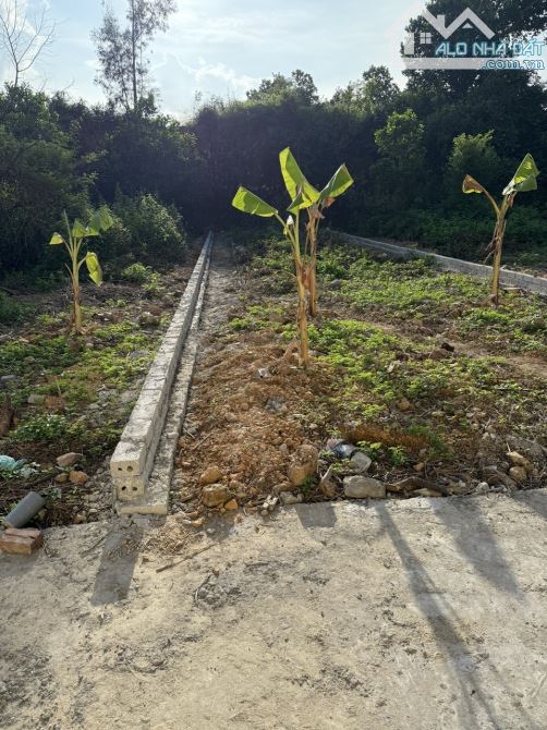 Bán Đất  Đồng việt, Yên Dũng, Bắc Giang. 107m2- Lô Góc. đường Ô Tô. Giá 680tr - 2