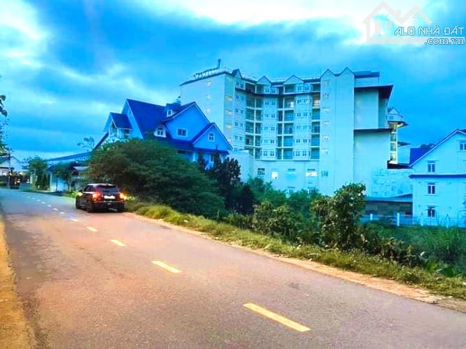 Cần bán lô đất 2 mặt tiền đường nhựa lớn Mai Anh Đào và Trần Đại Nghĩa P8 Đà Lạt. - 2