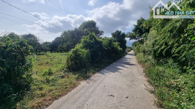 Cần bán 2535m đất nông nghiệp Cam Thành Bắc, Cam Lâm, Khánh Hòa QH đất ở, giá 12.6 tỷ - 2