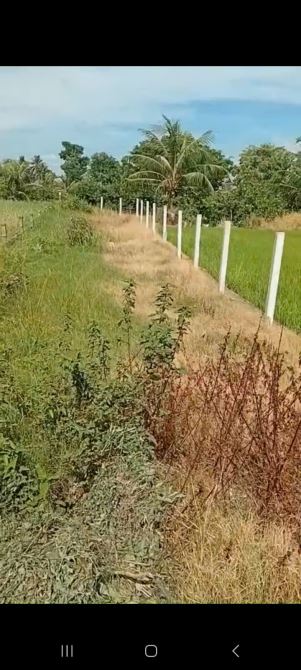CHÍNH CHỦ BÁN GẤP ĐẤT MẶT TIỀN TT CẦN ĐƯỚC - 2