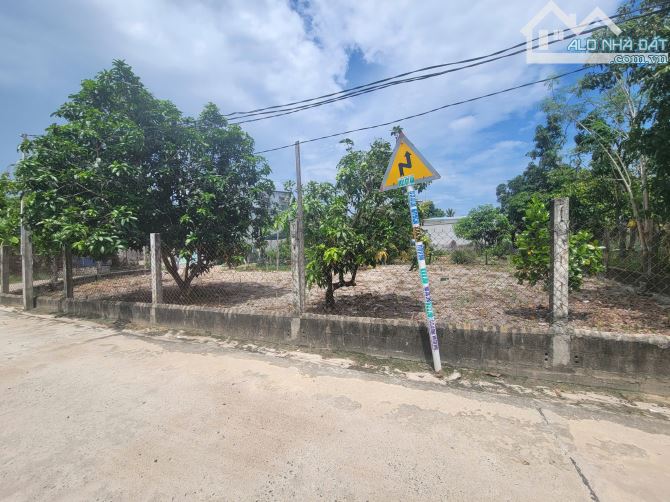 Kẹt tiền Bán đất quy hoạch 22 mét mặt tiền đường gần khu bàn cờ Cam Lâm - 2