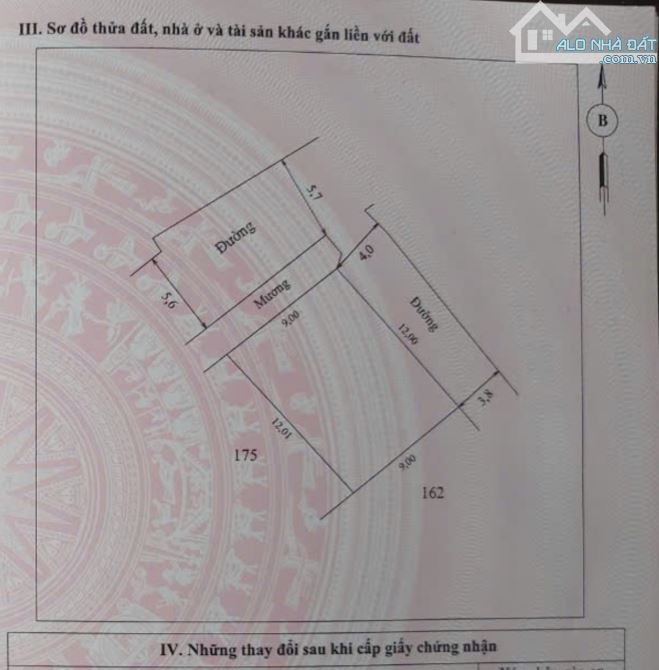 🌿 Lô đất đẹp Đông Thượng Phong Hòa – Gần Tỉnh Lộ & Trường Tiểu Học - 2