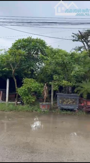 🏡LƯƠNG TÀI -BẮC NINH- 2 Ô TÔ TRÁNH -DIỆN TÍCH 529  MÉT -GIÁ CHỈ  22TR/1  MÉT - 2