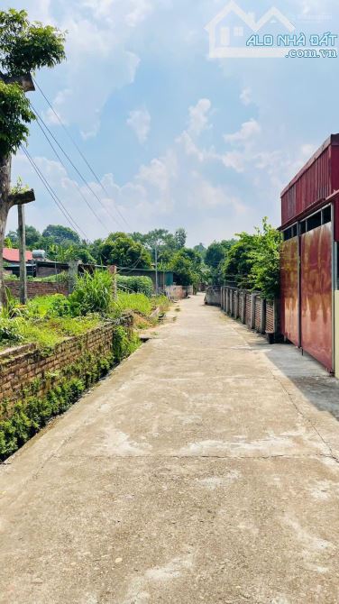 Bán đất xã Dân Quyền, Tam Nông, Phú Thọ, 750 triệu, 121m2 giá tốt - 2