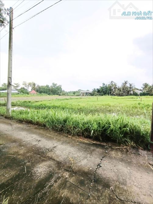✅ Bán 544m2 đất vườn đường 3 gác thuộc Lợi Bình Nhơn , TP Tân An _ DT : 9 x 55 nở hậu 10.1 - 2