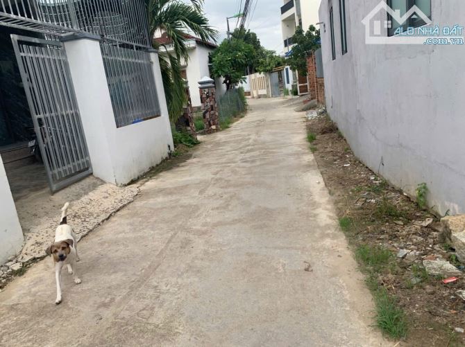 🌾🌾 bán đất thu đông Vĩnh Phương ngang 5 m vị trí đẹp giá tốt - 2