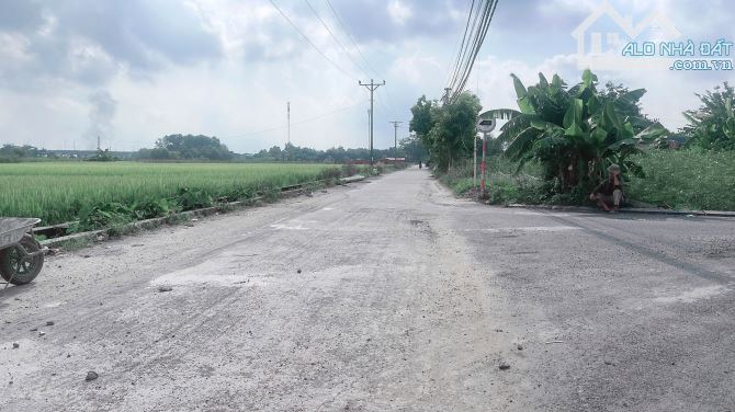 🌟 ĐẤT ĐẸP ĐẤU GIÁ – VỊ TRÍ VÀNG MỸ NỘI, BẮC HỒNG 🌟 - 2
