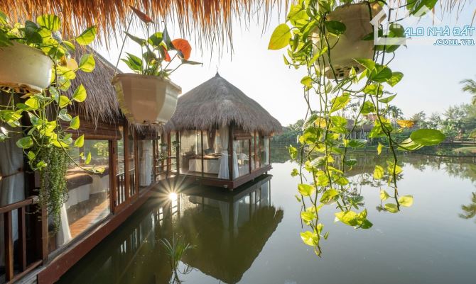 🔥 RESORT 4★ THANH NHỨT – 26 PHÒNG – DIỆN TÍCH RỘNG – GIÁ ĐẦU TƯ SIÊU LỢI NHUẬN - 126 T 🔥 - 22