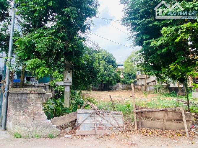 575/670m2 Đất thổ cư, p Nông Trang - gần ĐL Hùng Vương - KĐT Minh Phương – Việt Trì - PT - 4