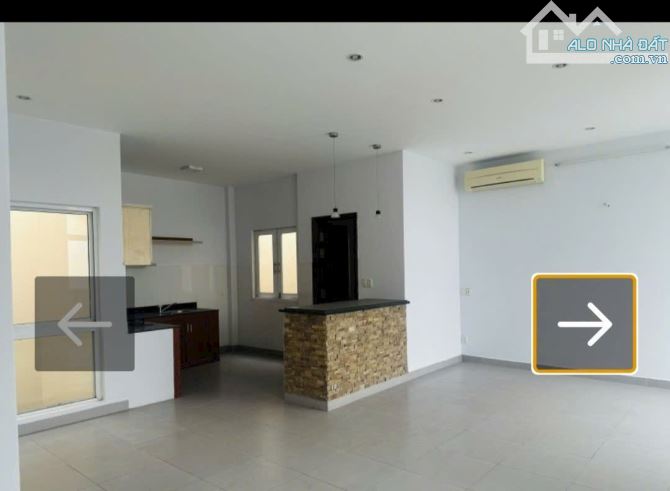 Biệt thự hxh đường Nguyễn văn nghĩ p 7 gò vấp - 3