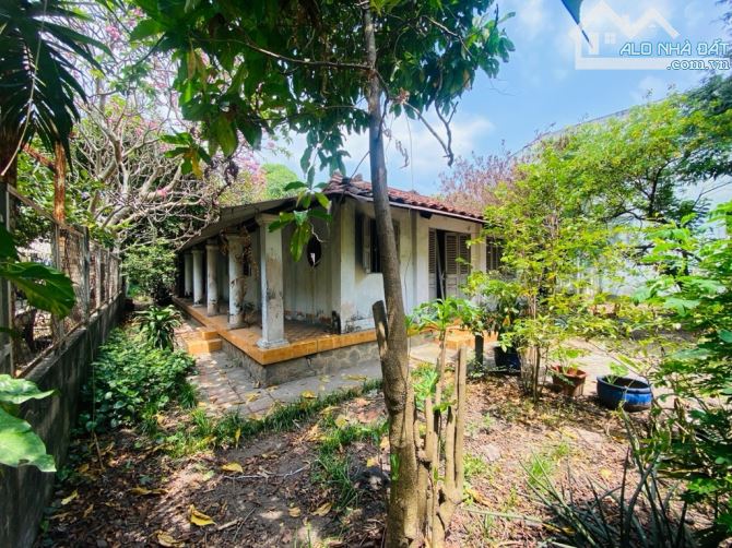 Bán đất, Lớn full thổ cư, tiền Lân , bà điểm hóc môn, ngang 18,5M, 850M2 giá chỉ 21,8TỶ - 3