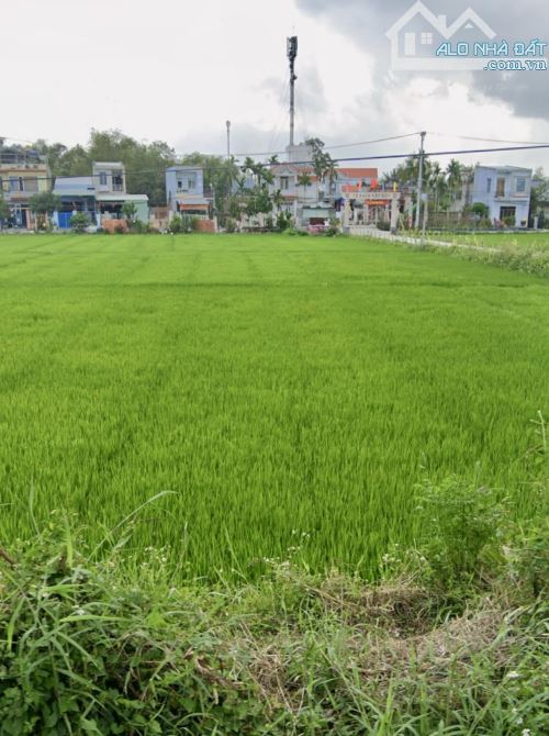 LÔ GÓC 145m2 NGANG 7m HOÀ XUÂN ĐÀ NẴNG. - 3