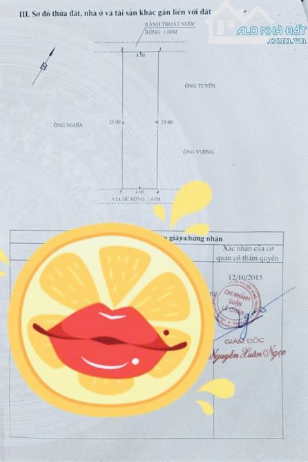 🏡BÁN ĐẤT MẶT ĐƯỜNG KHÚC THỪA DỤ NGÃ 3 THIÊN LÔI, AEON MALL ~200m Giá 16,99 tỷ - 3
