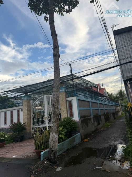 Cần bán kho xưởng gần điện máy Chợ Lớn xã Bình Phú - Tp Bến Tre - 3