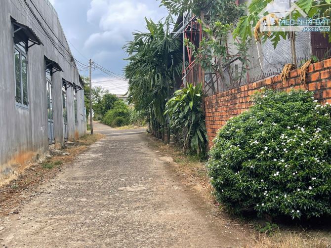 LÔ THỔ CƯ CÁCH NGÃ 6 BMT 8Km GIÁ CHỈ 668 TRIỆU - 3