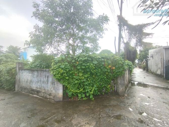 Cho thuê 15 triệu/tháng hoặc bán 70 tỷ đất ven sông phường Bửu Long vị trí đẹp - 3