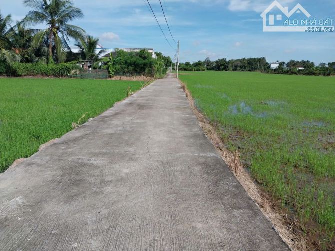 450tr (6x31) đất đẹp,ôtô gần TL873, QL50 tại TP Gò Công, Tiền Giang. - 3