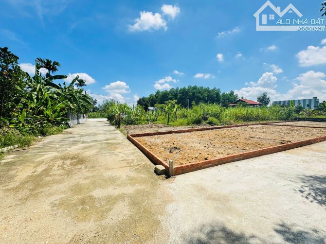 Cặp lô liền kề DT 260 m² (ngang 20 m) – Lý tưởng làm nhà vườn & nghỉ dưỡng - 3