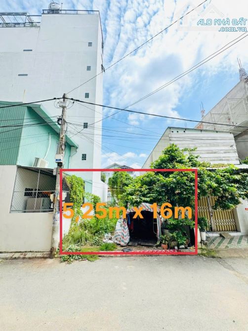 ®️Bán lô đất HXH Đường Số , P. An Phú liền kề Thảo Điền Q2 , TP. HCM. - 3
