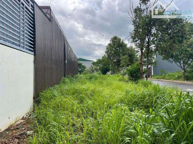 ĐẤT BÁN 2 MẶT TIỀN KHU ĐẤU GIÁ NGUYỄN PHÚC CHU P. THÀNH NHẤT - Loctran - 3