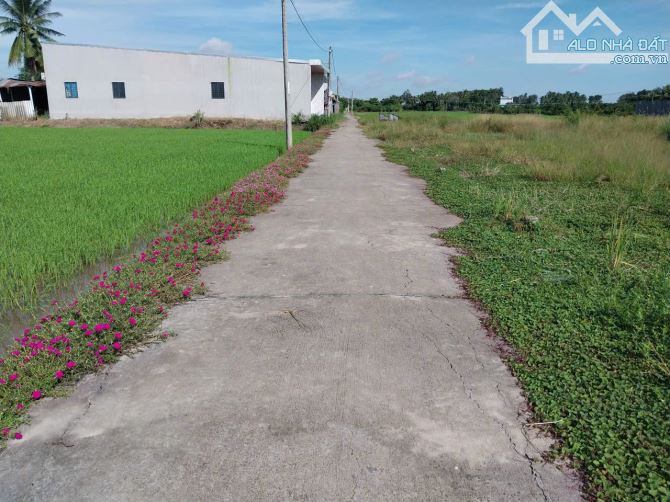 450tr đất đẹp, đường ôtô gần TL873, QL50 tại TP Gò Công, Tiền Giang. - 3
