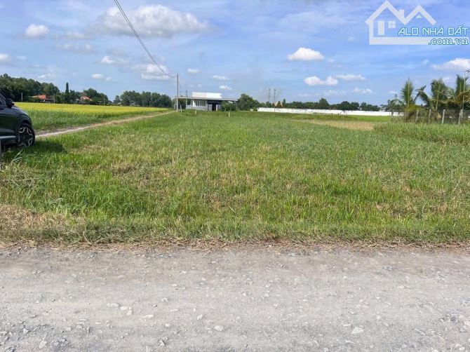 Bán đất  đường đá xanh 5x50m (250m2), Xã Hòa Khánh Đông, Đức Hòa, Long An.Giá 800 triệu - 3