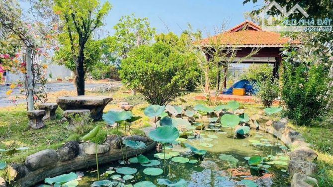 THỊ TRẤN PHƯỚC HẢI - NGAY TỈNH LỘ 44B - ĐẤT ĐỎ - BRVT 🌈DT 1310m2 - bao 100m2 thổ cư - 3