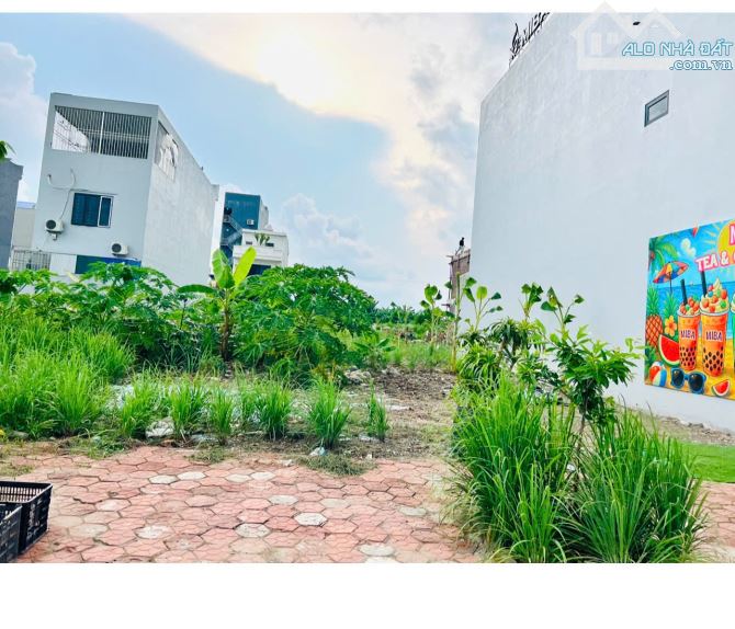 🌟 BÁN ĐẤT PHÂN LÔ ĐỐNG CHUỐI – HÙNG VƯƠNG, HỒNG BÀNG, HẢI PHÒNG 🌟100m2- 5,1 tỷ - 3