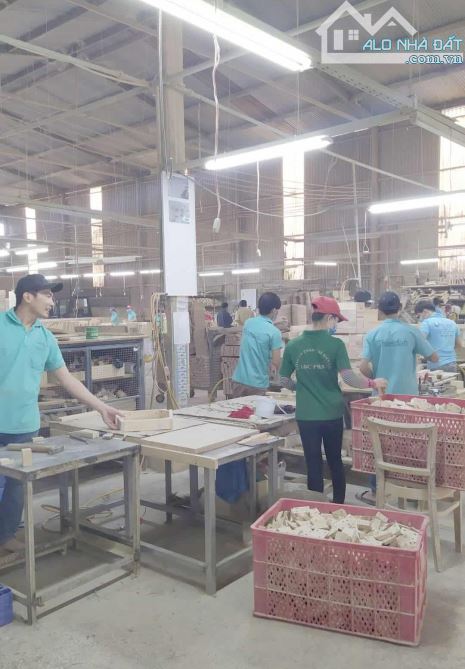 Bán Nhà Xưởng 7000m2 , Full SKC,  Dĩ An , Tp HCM , chỉ 10tr/m2 - 2