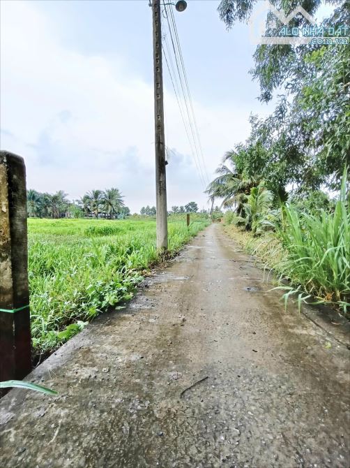 ✅ Bán 544m2 đất vườn đường 3 gác thuộc Lợi Bình Nhơn , TP Tân An _ DT : 9 x 55 nở hậu 10.1 - 3