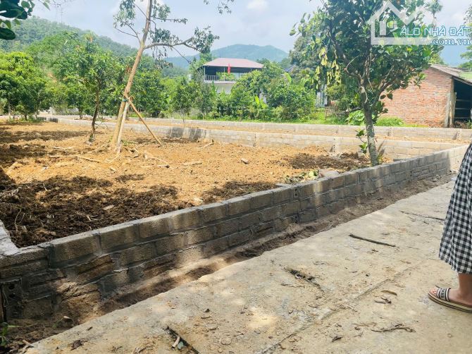 Cần bán 365m2, 150m2 đất ở, sổ HN. Giá nhỉnh 10tr/m. Tại xã Yên Bài, Ba Vì, Hà Nội - 3