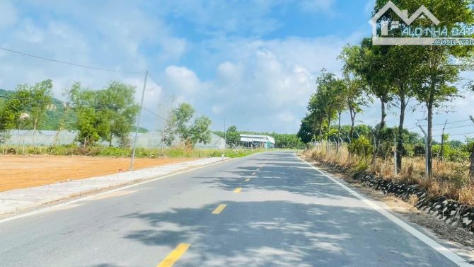BÁN ĐẤT VIEW NÚI MINH ĐẠM HỒ SỞ BÔNG - ĐI BIỂN CHỈ 3KM PHÙ HỢP LÀM Homstay nghỉ dưỡng - 4