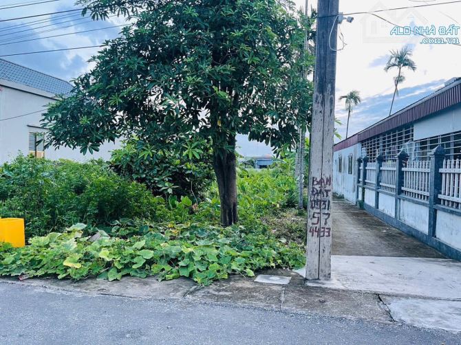 150,7m2 lô góc Cốc Liễn, Minh Tân, Kiến Thụy gần Ga Minh Tân - 4