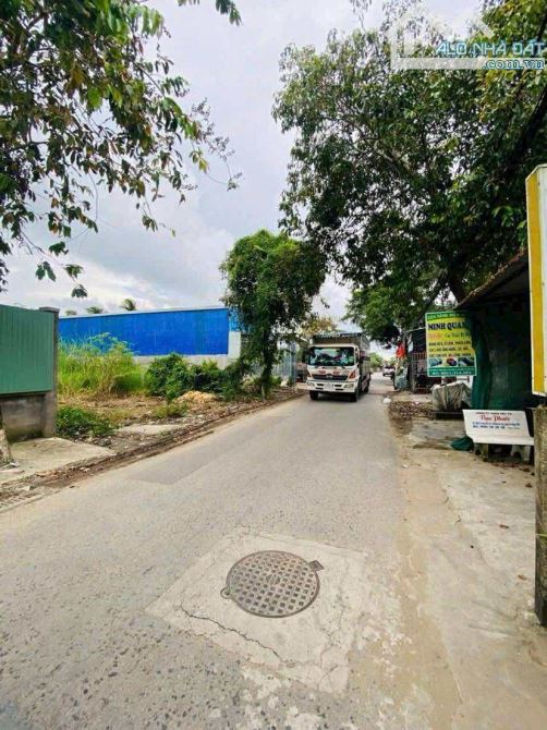 Bán đất 361 m2 mặt tiền đường Lê Hồng Nhi - 4