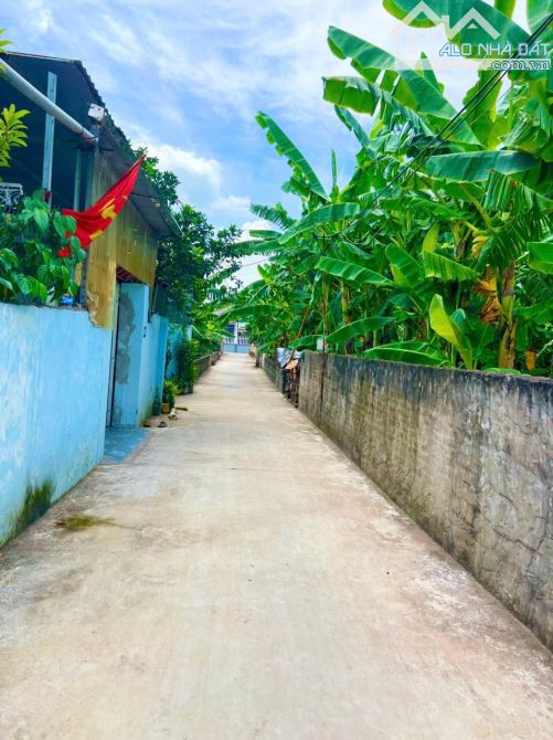 🏡 CHÍNH CHỦ GỬI BÁN NHÀ 3 TẦNG KIÊN CỐ – KIẾN TRÚC PHÁP - 4